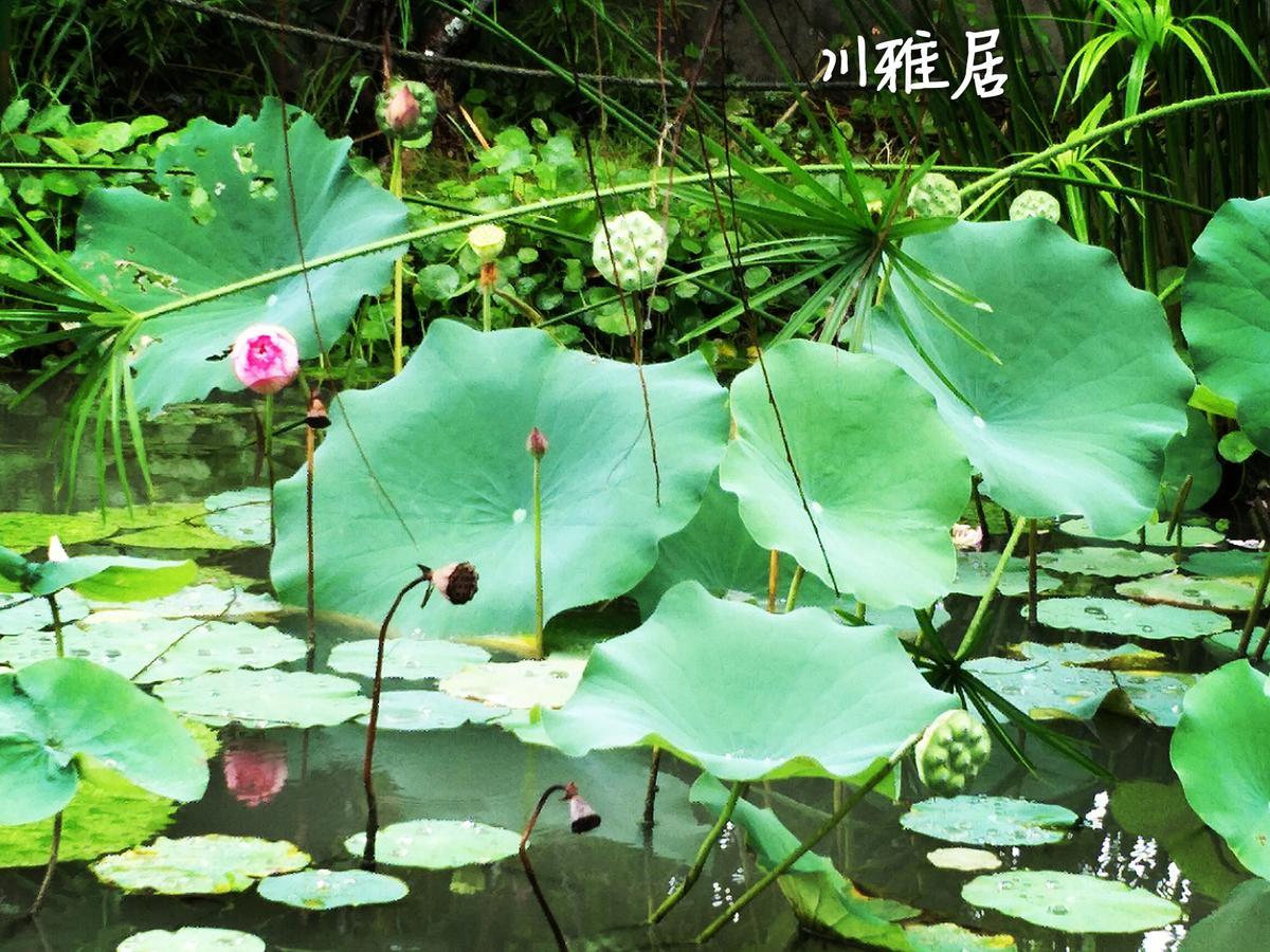 Chuan Ya Ju Homestay Qishan Exterior photo